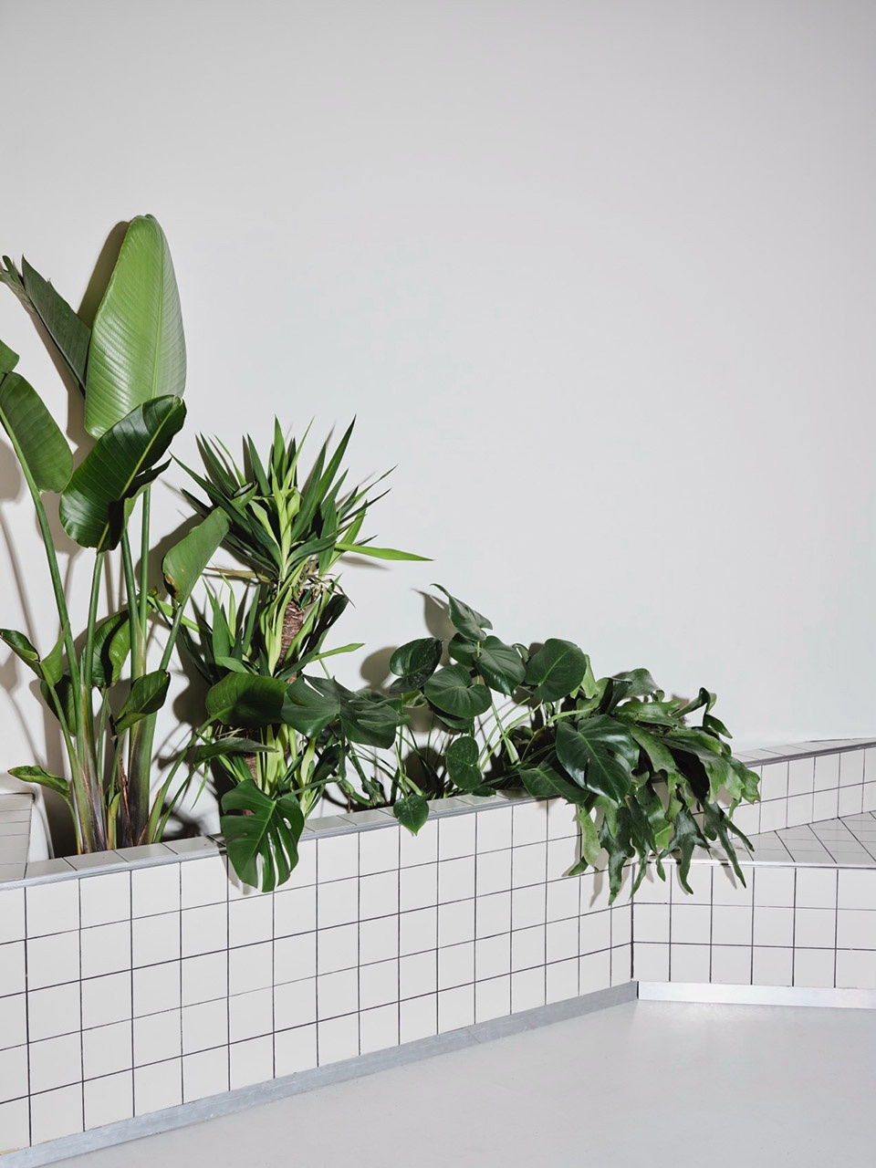 Sornells 21 by TOT Studio Paloma Bau Estudio