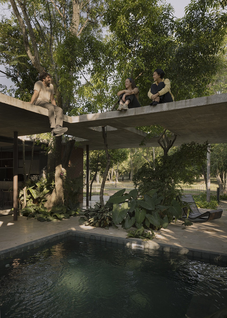 a forest in the house by equipo de arquitectura