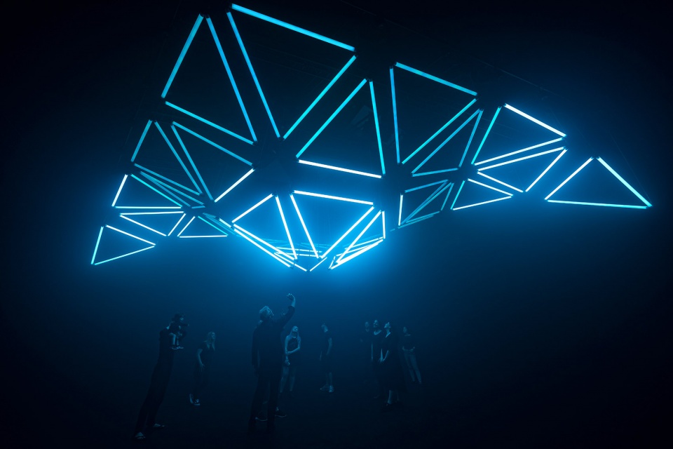dark matter by forest season