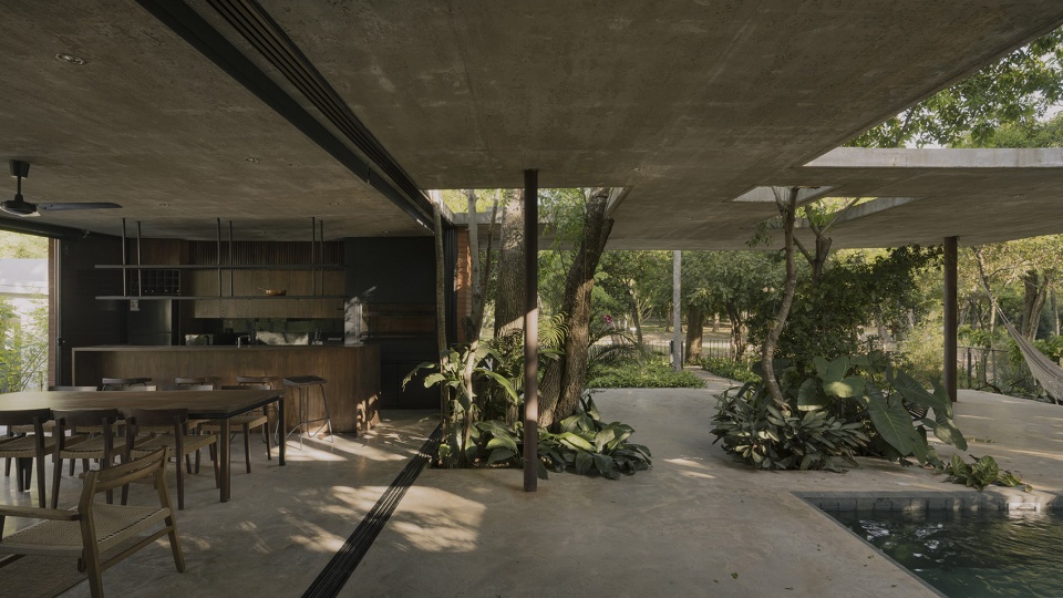 a forest in the house by equipo de arquitectura