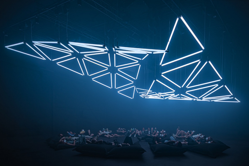 dark matter by forest season