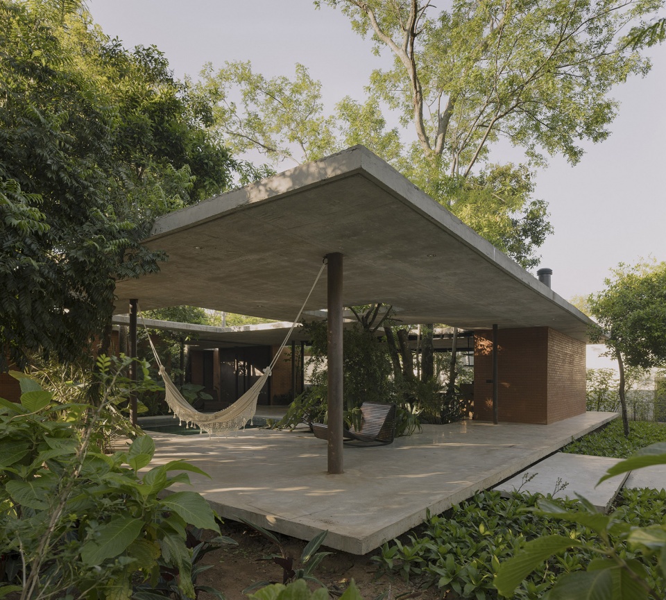 a forest in the house by equipo de arquitectura