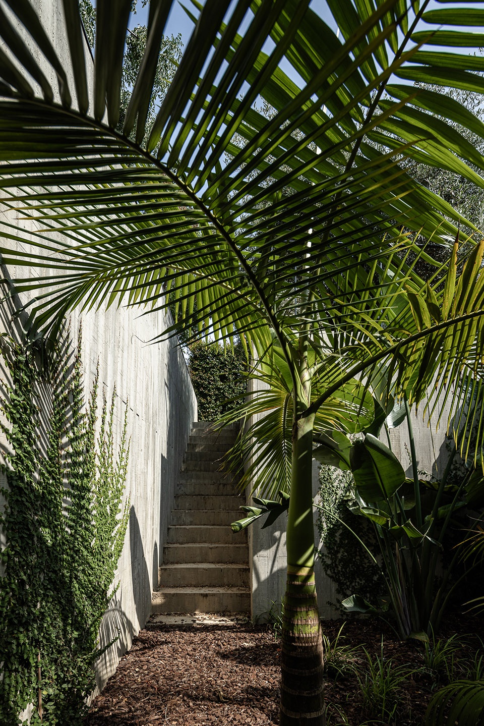 casa colinas by atelier data