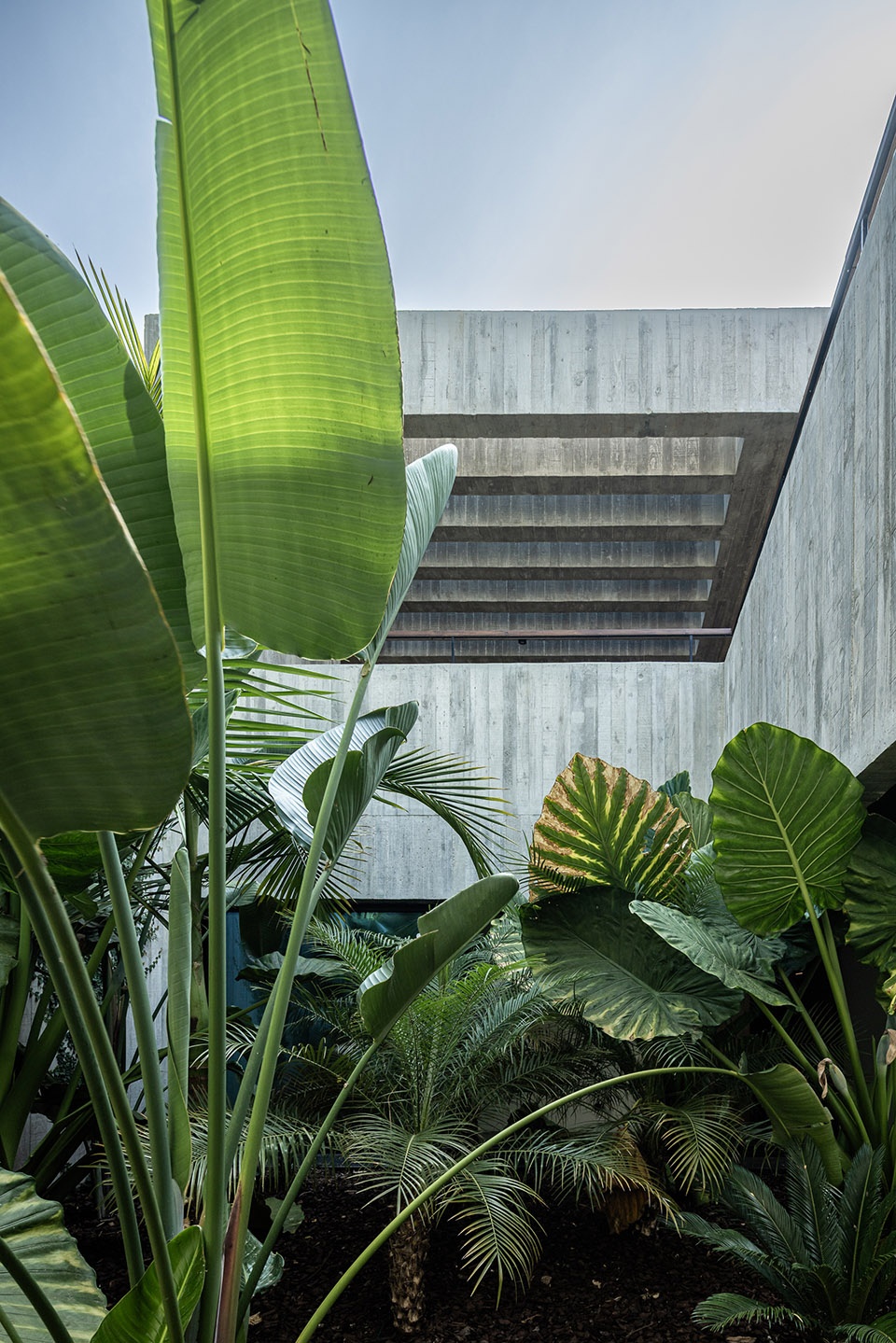 casa colinas by atelier data