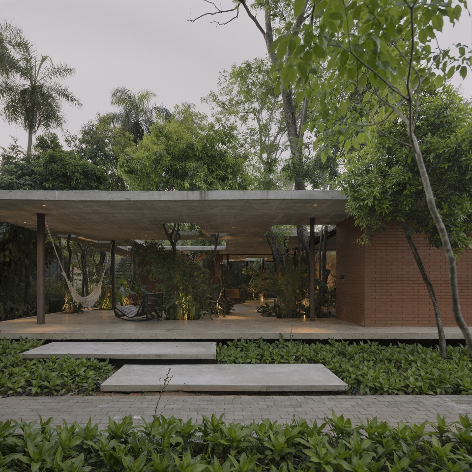 a forest in the house by equipo de arquitectura