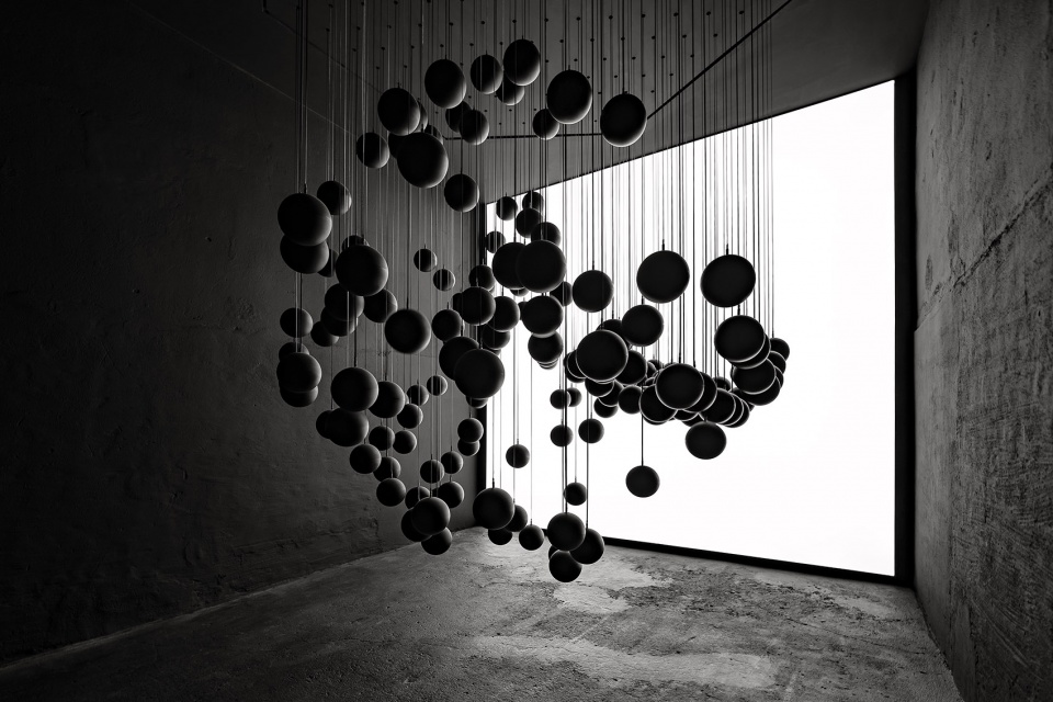 dark matter by forest season