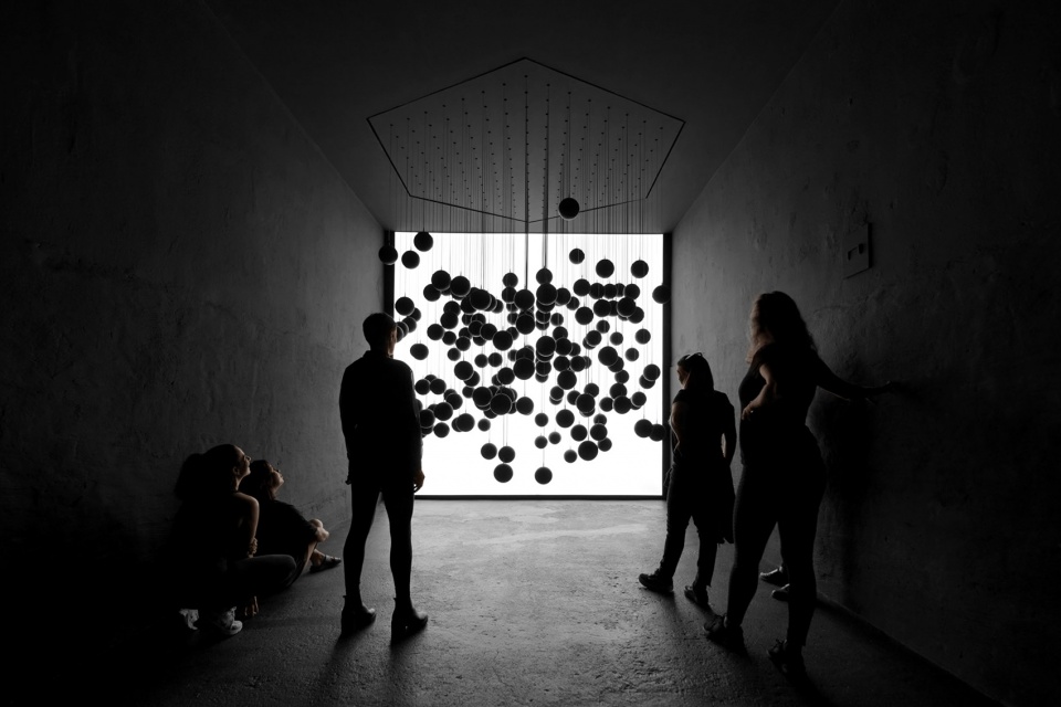 dark matter by forest season