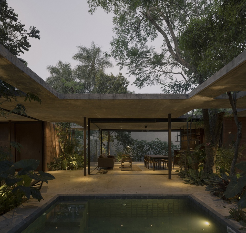 a forest in the house by equipo de arquitectura