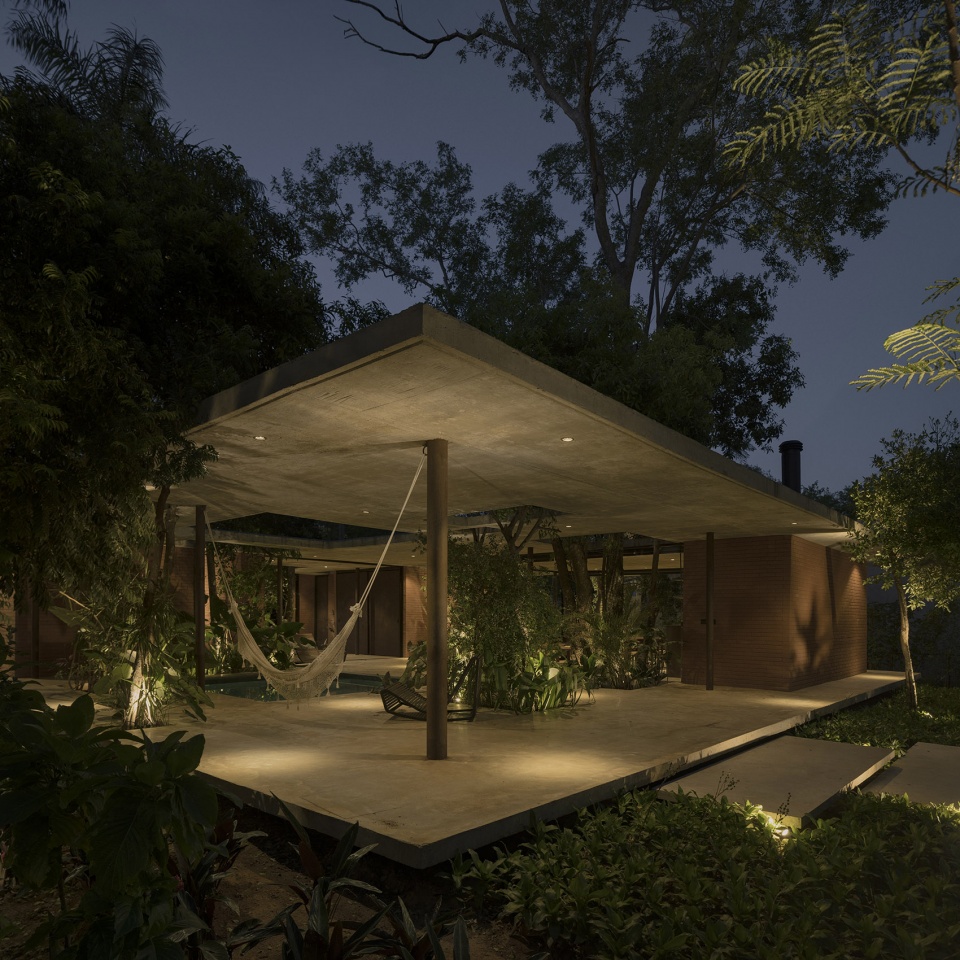 a forest in the house by equipo de arquitectura