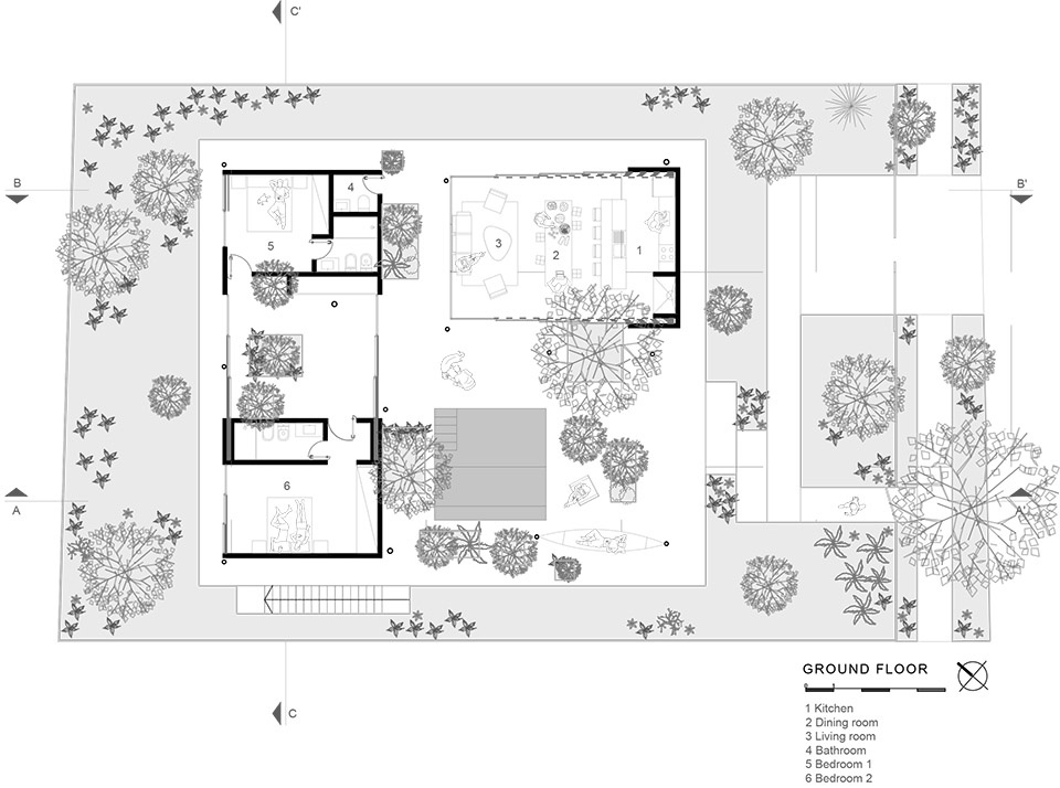 a forest in the house by equipo de arquitectura