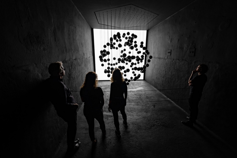 dark matter by forest season