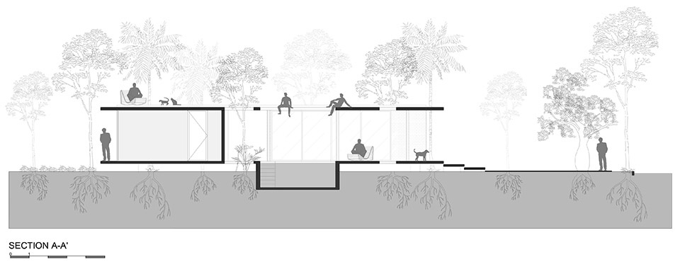 a forest in the house by equipo de arquitectura