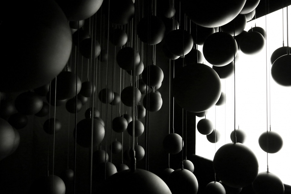dark matter by forest season