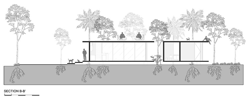 a forest in the house by equipo de arquitectura