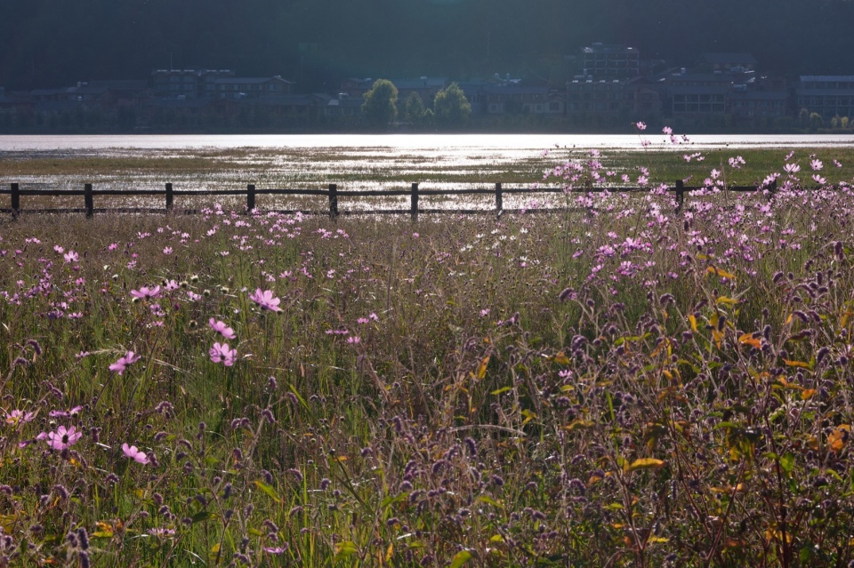 Lugu Lanyond Alpine Lake Retreat by Z scape