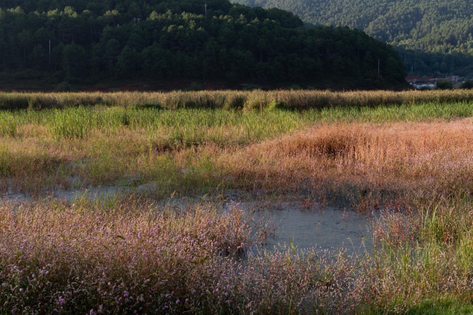 Lugu Lanyond Alpine Lake Retreat by Z scape