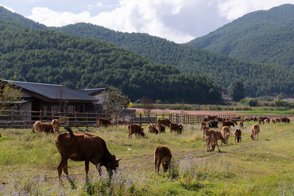 Lugu Lanyond Alpine Lake Retreat by Z scape