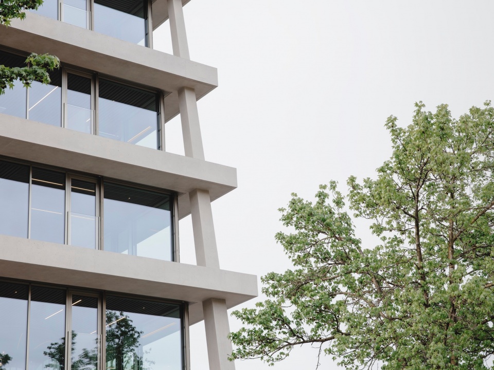 Raiffeisen Bank by Celoria Architects