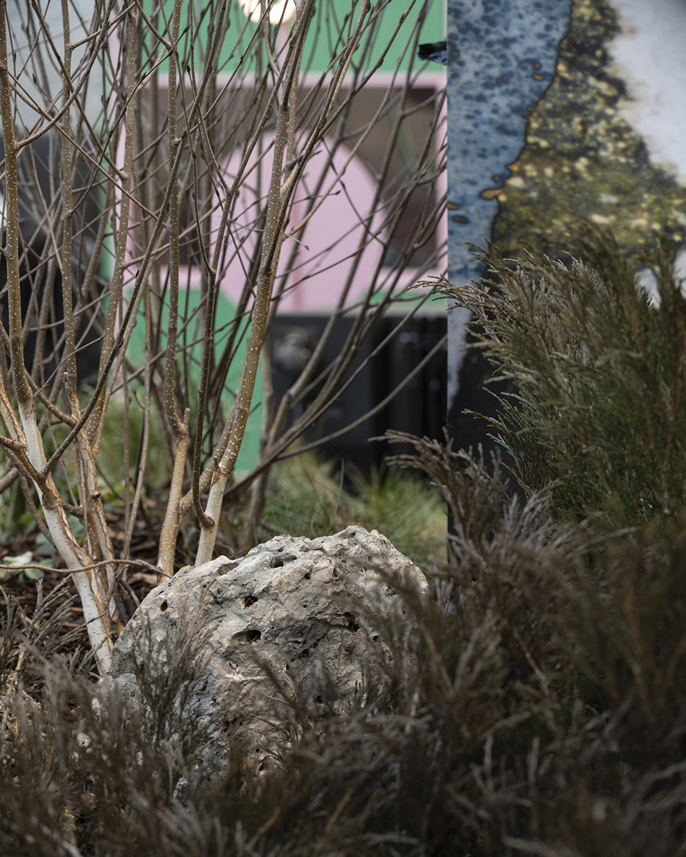 BUREAU FLORA ALPINA©DylanPerrenoud 21 拷贝
