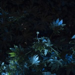 Flora Alpina花园，米兰 / BUREAU