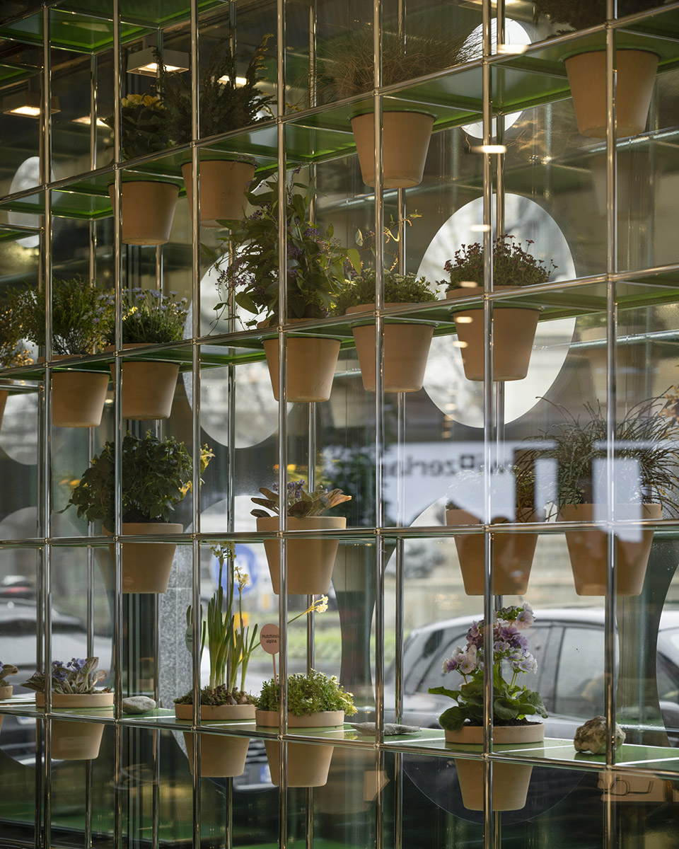 BUREAU FLORA ALPINA©DylanPerrenoud 26 拷贝