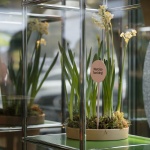 Flora Alpina花园，米兰 / BUREAU