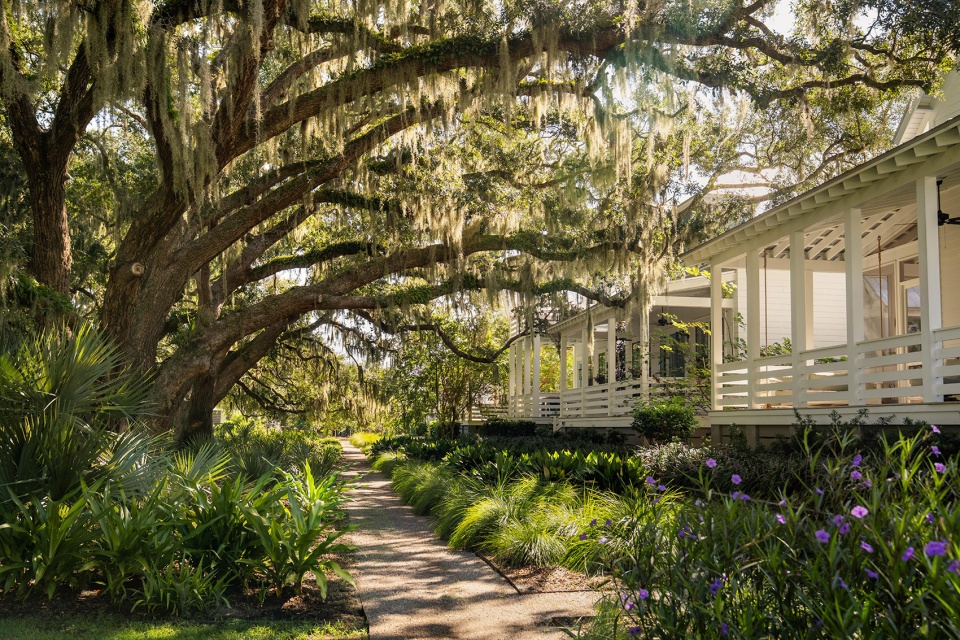 Kiawah River 4