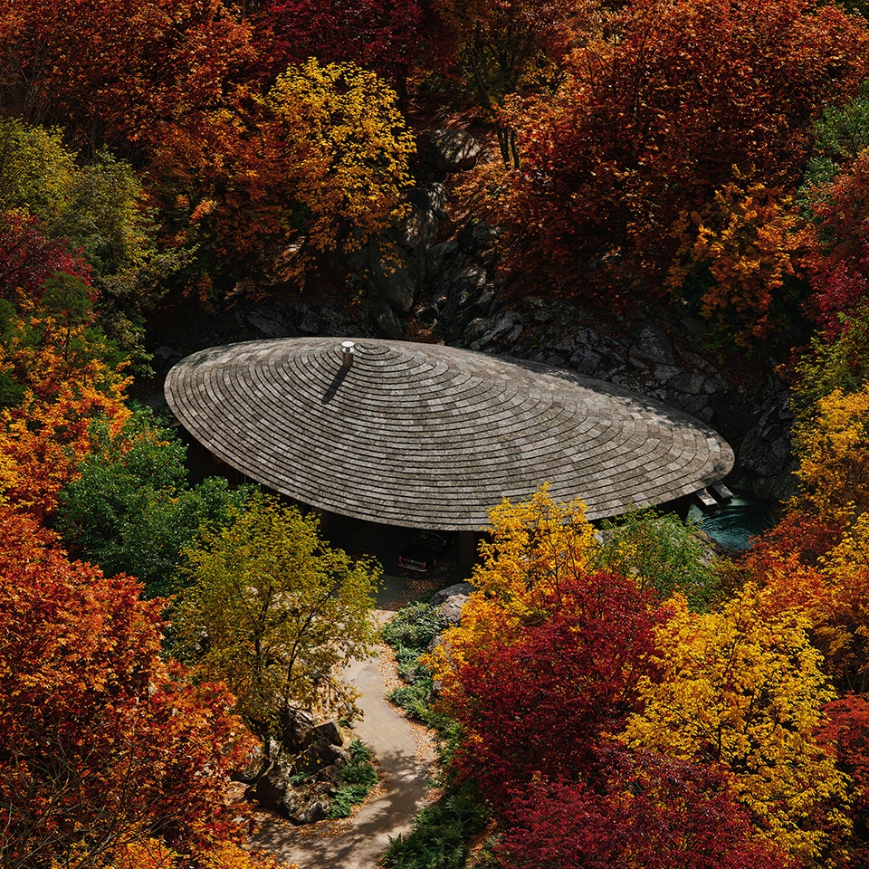 NATURE WITHIN 14