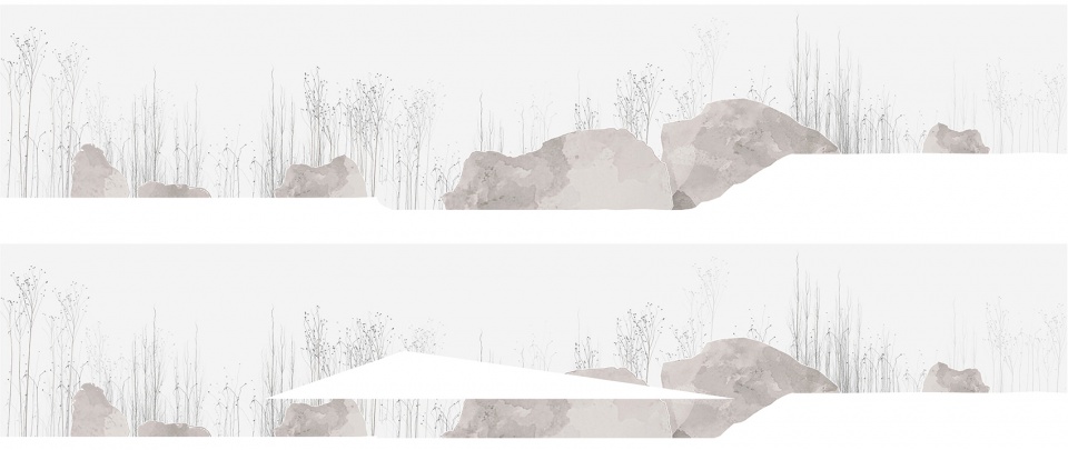 NATURE WITHIN 4 o5l