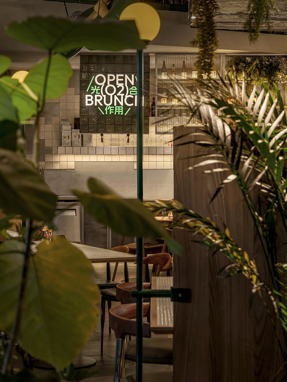 Open O2 12
