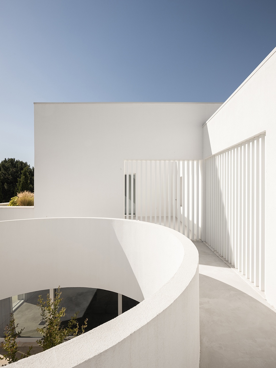 VERDIZELA HOUSE 25