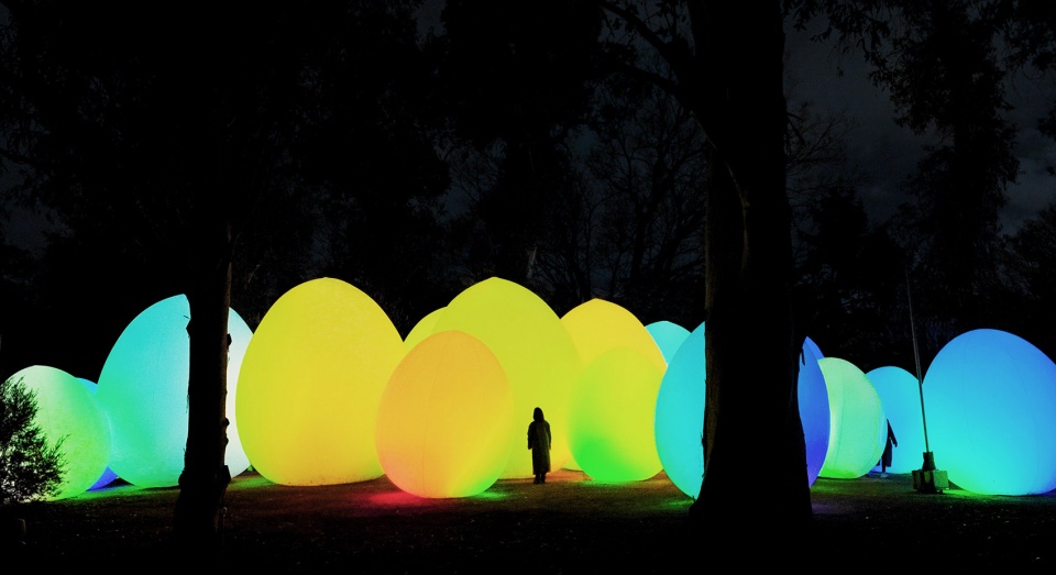 forest of autonomous resonating life by teamlab