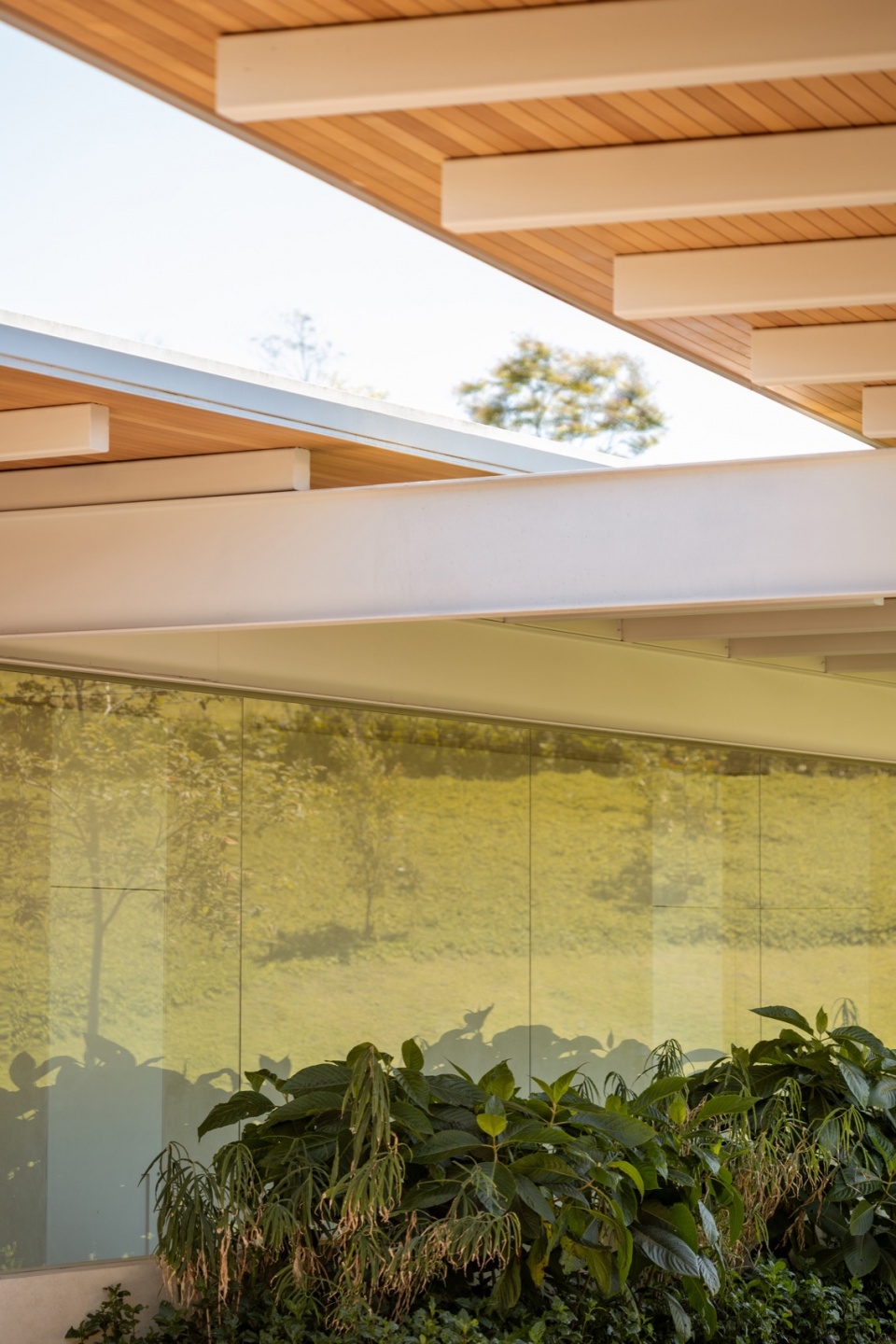 jl residence by kiko castello branco