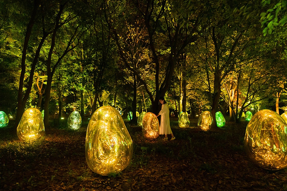 resonating microcosms in the common camellia garden by teamlab