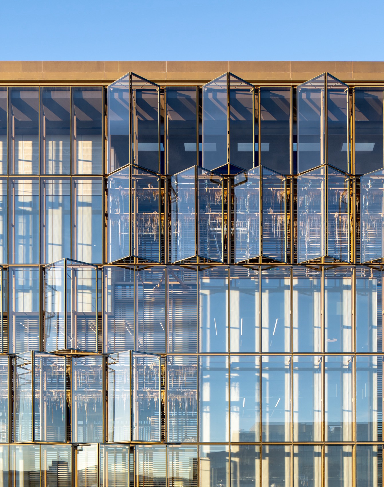 Topic: Mission Bay – Uber Headquarters by SHoP Architects - 谷德设计网