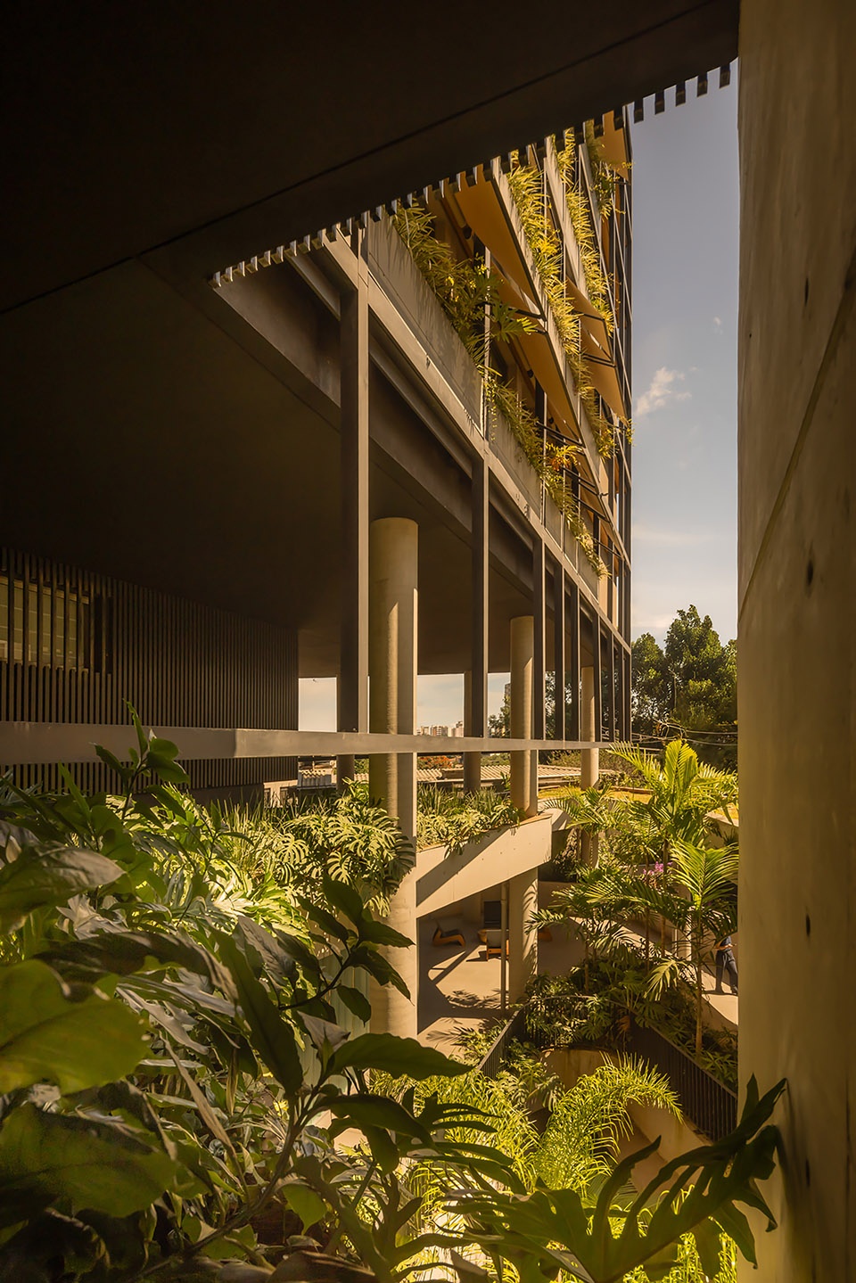 pascoal vita building by bernardes arquitetura