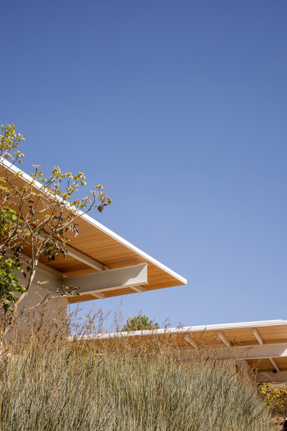 jl residence by kiko castello branco