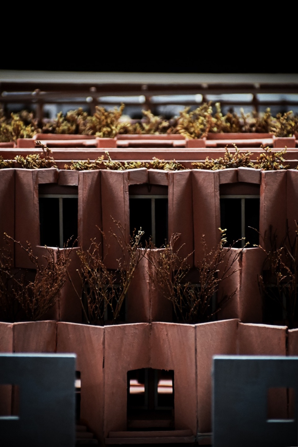 laiva plaza by ra