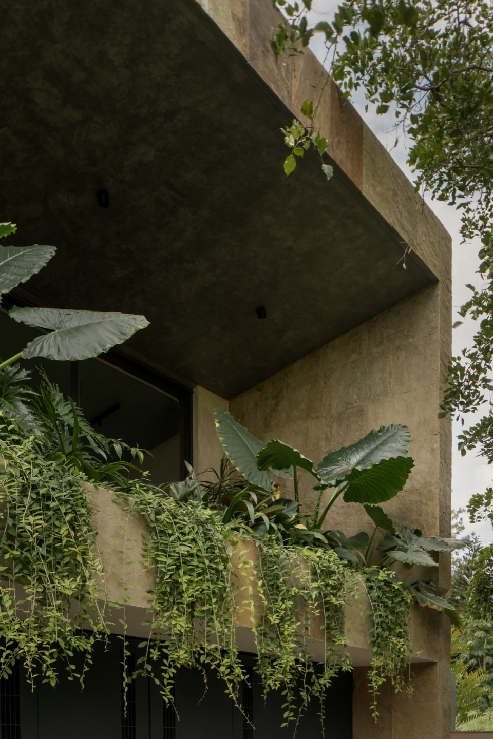the courtyard chronicles by 4brick studio