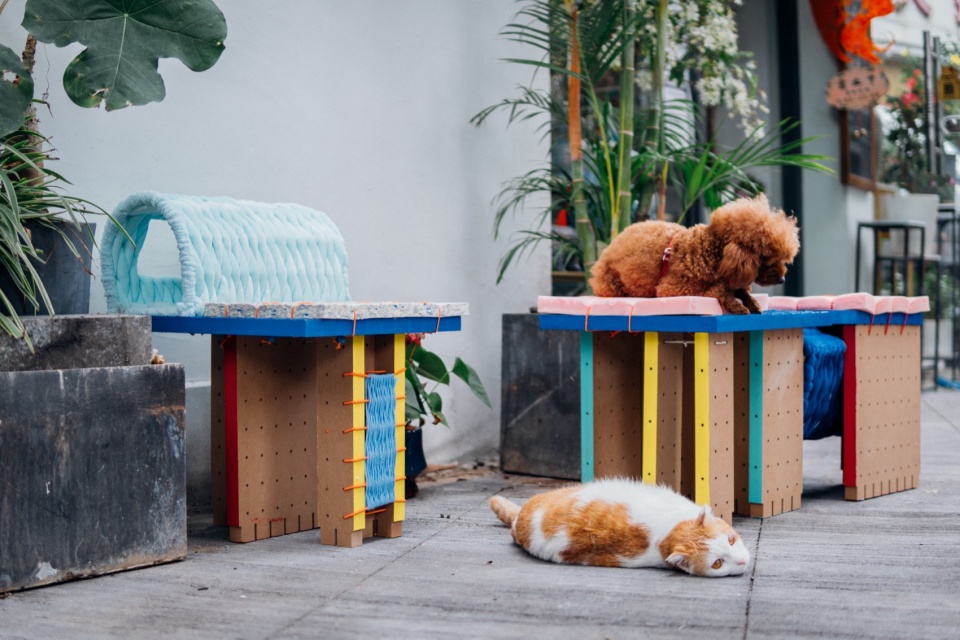 the adapter units for stray animal shelter by cable