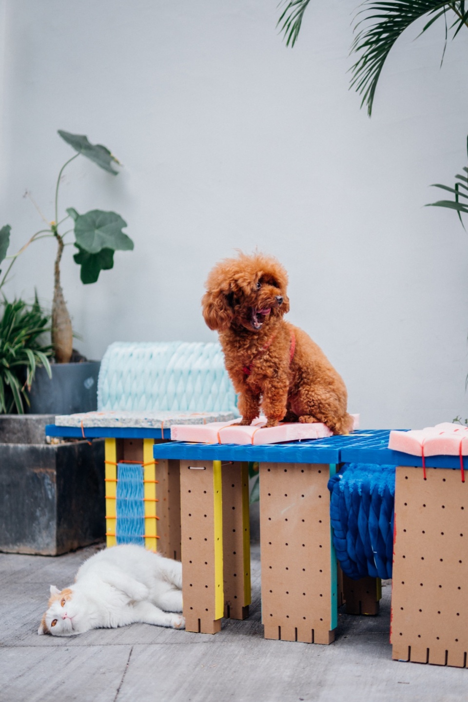 the adapter units for stray animal shelter by cable
