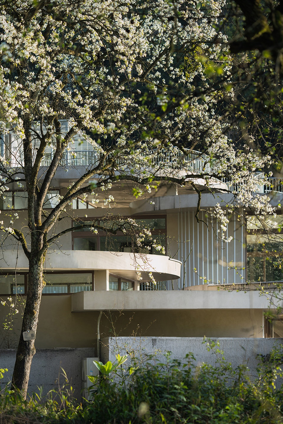buzzy sunny feixue pavilion by archermit