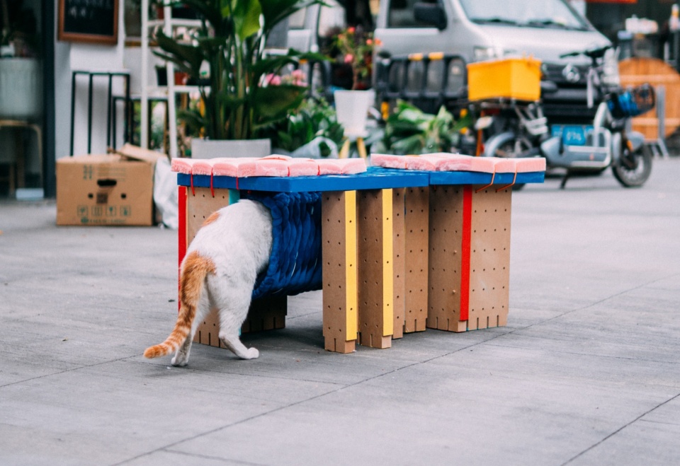 the adapter units for stray animal shelter by cable