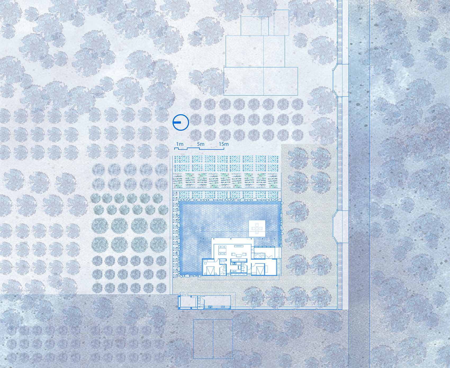 The Second Farmstay