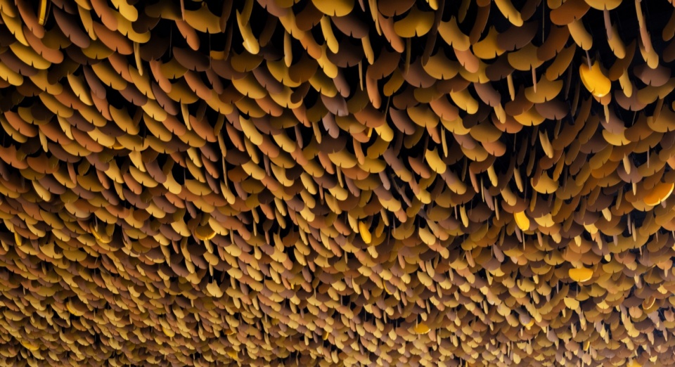 main pavilion of the international horticultural exhibition 2024 chengdu