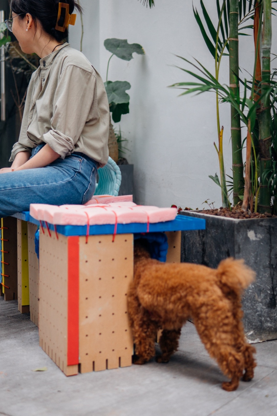 the adapter units for stray animal shelter by cable