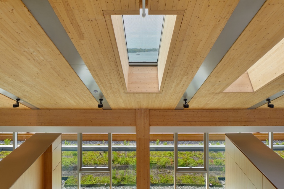 Limberlost Place by Moriyama Teshima Architects