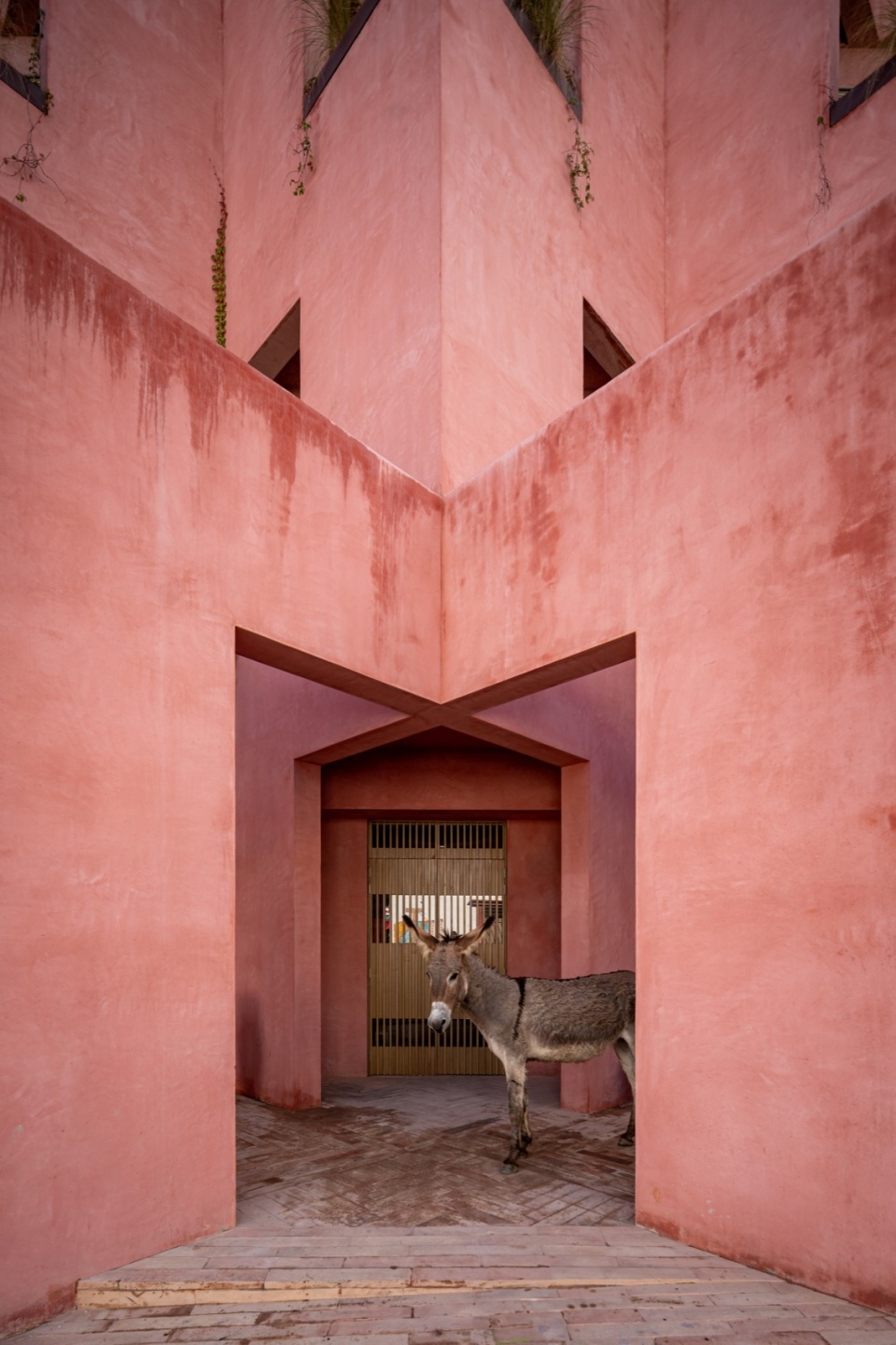 laiva plaza by ra
