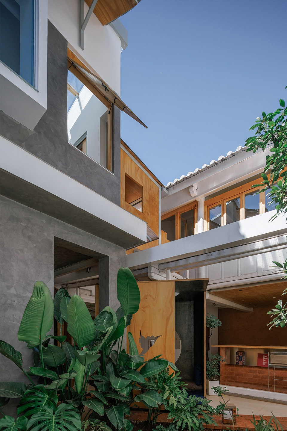 vigorous blooms courtyard by edge architects