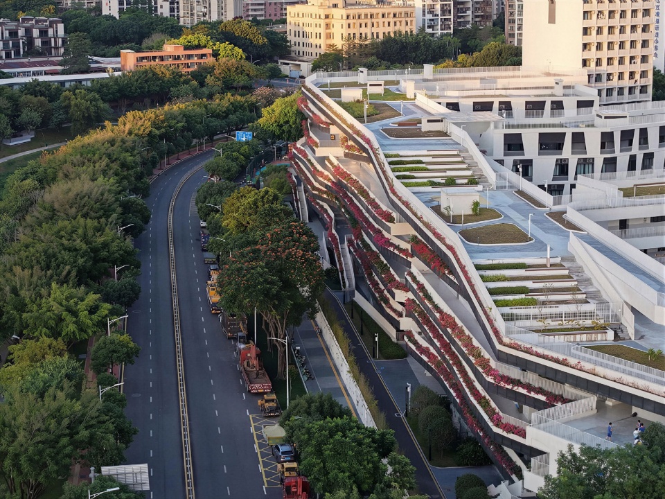redevelopment of pingshan elementary school into a nine year integrated school by ccdi dongxiying studio